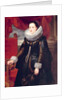 Portrait of a Woman by Cornelis de Vos