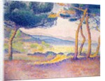 Pines Along the Shore, 1896 by Henri-Edmond Cross