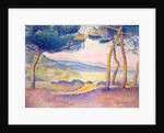 Pines Along the Shore, 1896 by Henri-Edmond Cross