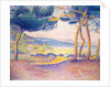 Pines Along the Shore, 1896 by Henri-Edmond Cross