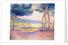 Pines Along the Shore, 1896 by Henri-Edmond Cross