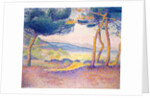 Pines Along the Shore, 1896 by Henri-Edmond Cross