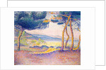 Pines Along the Shore, 1896 by Henri-Edmond Cross