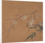 Flowering Plum and Bamboo, 17th century by Unknown