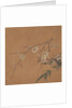 Flowering Plum and Bamboo, 17th century by Unknown