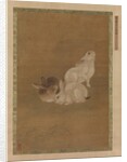 Three Rabbits by Unknown