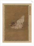 Three Rabbits by Unknown