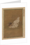 Three Rabbits by Unknown