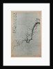 Plum Branch, dated 1888 by Yi Yuwon