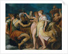 The Marriage of Cupid and Psyche, 1540s by Andrea Schiavone