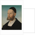 Ulrich Fugger the Younger, 1525 by Hans Maler