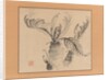Cycad, mid-18th century by Ike no Taiga