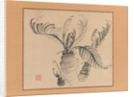 Cycad, mid-18th century by Ike no Taiga
