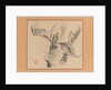 Cycad, mid-18th century by Ike no Taiga
