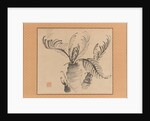 Cycad, mid-18th century by Ike no Taiga