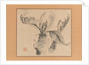 Cycad, mid-18th century by Ike no Taiga