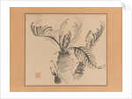 Cycad, mid-18th century by Ike no Taiga