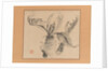 Cycad, mid-18th century by Ike no Taiga