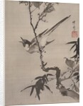 Singing Bird on a Branch, ca. 1887 by Kawanabe Kyosai