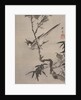 Singing Bird on a Branch, ca. 1887 by Kawanabe Kyosai
