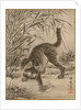 Cat Catching a Frog, ca. 1887 by Kawanabe Kyosai