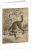 Cat Catching a Frog, ca. 1887 by Kawanabe Kyosai