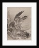 Eagle Attacking Fish, ca. 1887 by Kawanabe Kyosai