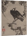 Starlings on a Branch, ca. 1887 by Kawanabe Kyosai