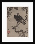 Starlings on a Branch, ca. 1887 by Kawanabe Kyosai