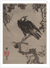 Starlings on a Branch, ca. 1887 by Kawanabe Kyosai