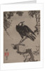 Starlings on a Branch, ca. 1887 by Kawanabe Kyosai