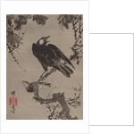 Starlings on a Branch, ca. 1887 by Kawanabe Kyosai