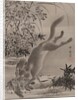 Fox Catching Bird, ca. 1887 by Kawanabe Kyosai