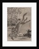 Fox Catching Bird, ca. 1887 by Kawanabe Kyosai