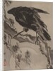 Crow and the Moon, ca. 1887 by Kawanabe Kyosai