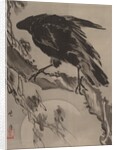 Crow and the Moon, ca. 1887 by Kawanabe Kyosai