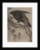 Crow and the Moon, ca. 1887 by Kawanabe Kyosai