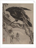 Crow and the Moon, ca. 1887 by Kawanabe Kyosai