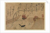 Sixth Month from Fujiwara no Teika?s 'Birds and Flowers of the Twelve Months' , 1743 by Ogata Kenzan
