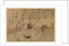 Sixth Month from Fujiwara no Teika?s 'Birds and Flowers of the Twelve Months' , 1743 by Ogata Kenzan