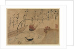 Sixth Month from Fujiwara no Teika?s 'Birds and Flowers of the Twelve Months' , 1743 by Ogata Kenzan