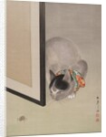 Cat Watching a Spider, ca. 1888-92 by Toko Oide