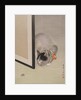 Cat Watching a Spider, ca. 1888-92 by Toko Oide
