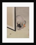 Cat Watching a Spider, ca. 1888-92 by Toko Oide