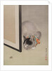 Cat Watching a Spider, ca. 1888-92 by Toko Oide