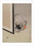Cat Watching a Spider, ca. 1888-92 by Toko Oide