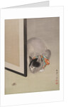 Cat Watching a Spider, ca. 1888-92 by Toko Oide