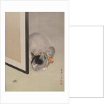 Cat Watching a Spider, ca. 1888-92 by Toko Oide