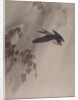 A Swallow in the Rain, ca. 1891-92 by Okada Baison
