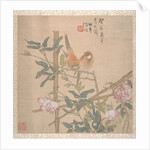 Two Birds Perched on a Flowering Rose Bush, late 19th century by Ren Yi